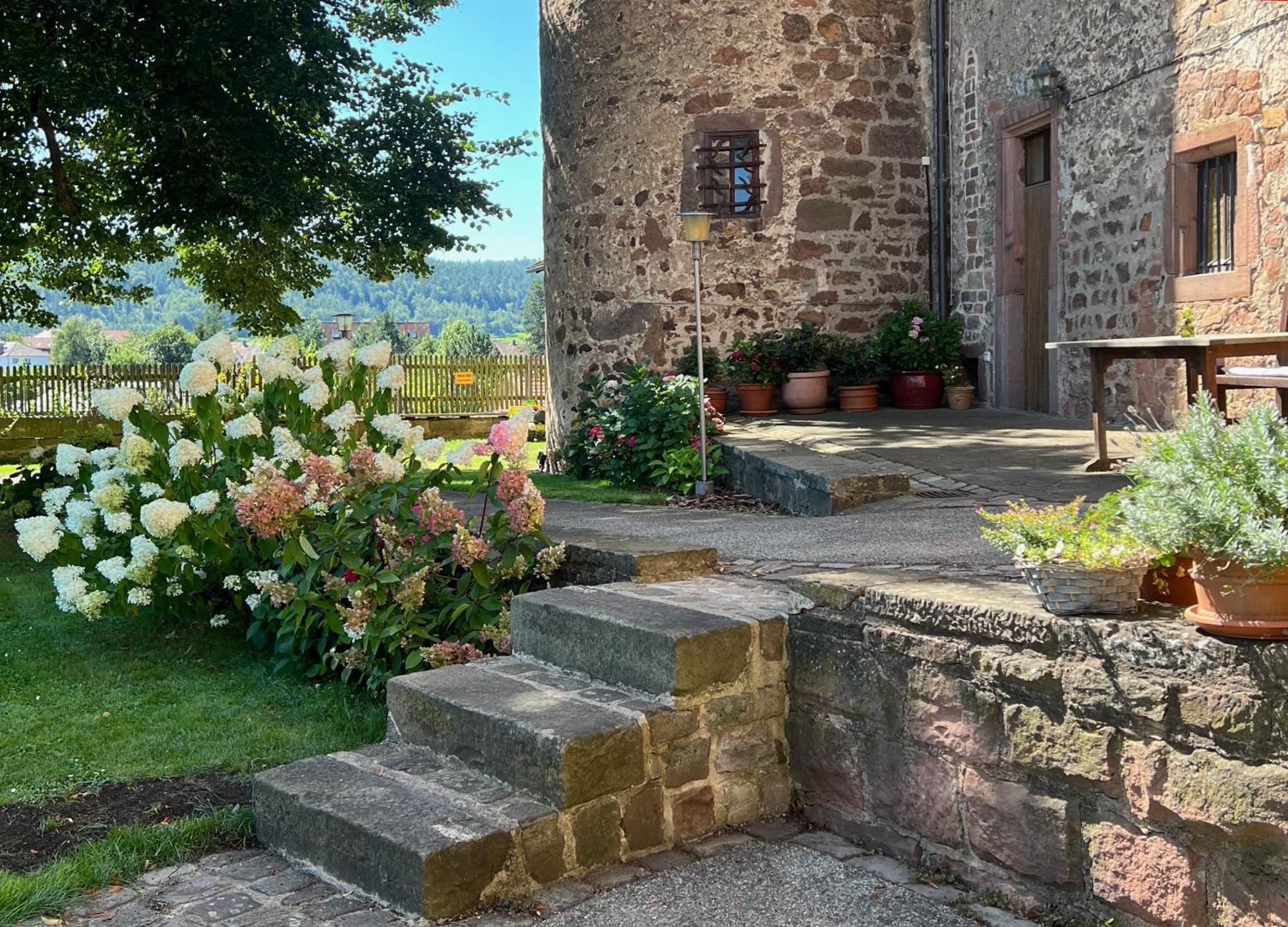 Graefin Amalia - Elegantes Apartment In Der Historischen Hinterburg In Schlitz, 2 Schlafzimmer, Mit Garten, Nahe Fulda Und Bad Hersfeld Ngoại thất bức ảnh