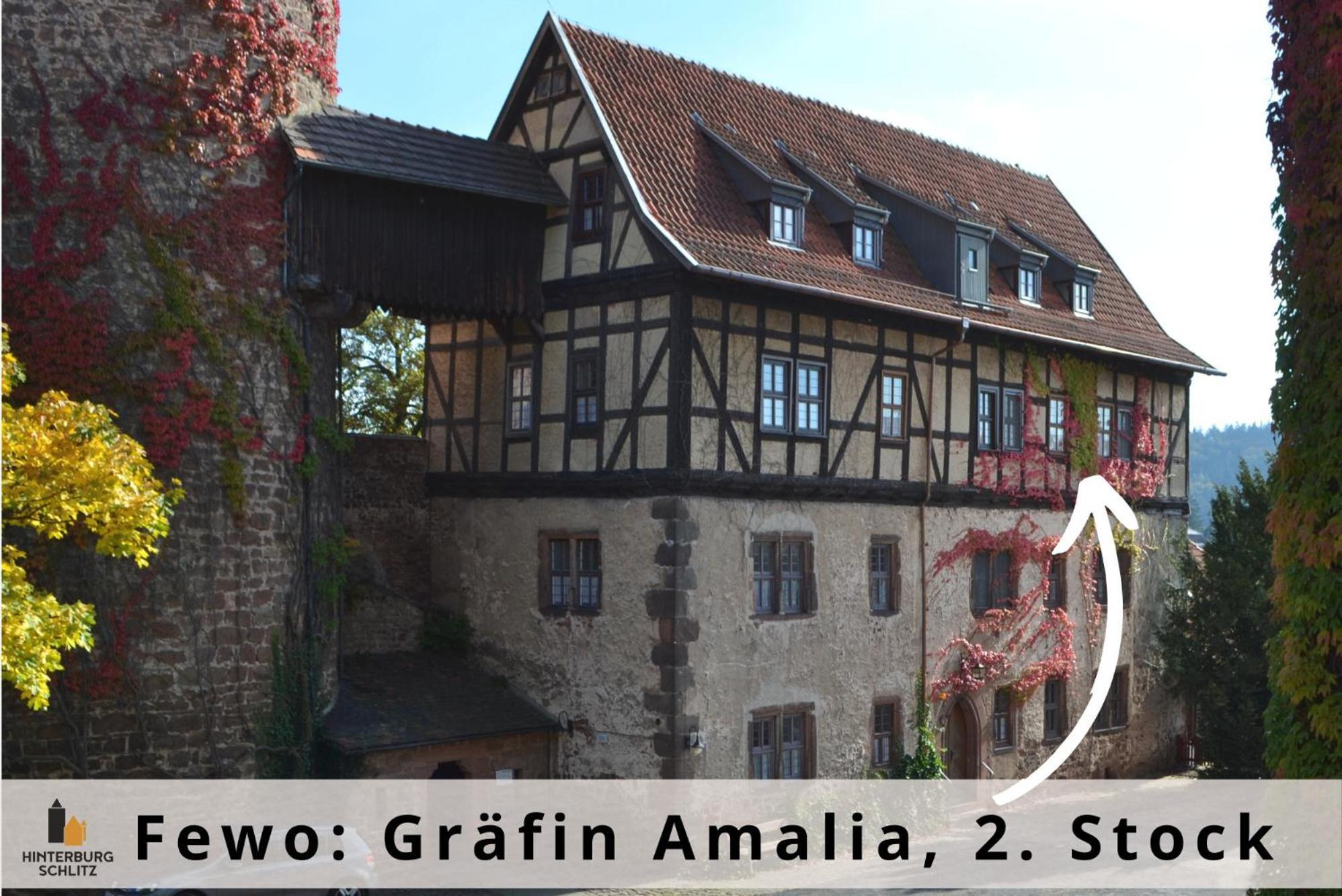 Graefin Amalia - Elegantes Apartment In Der Historischen Hinterburg In Schlitz, 2 Schlafzimmer, Mit Garten, Nahe Fulda Und Bad Hersfeld Ngoại thất bức ảnh